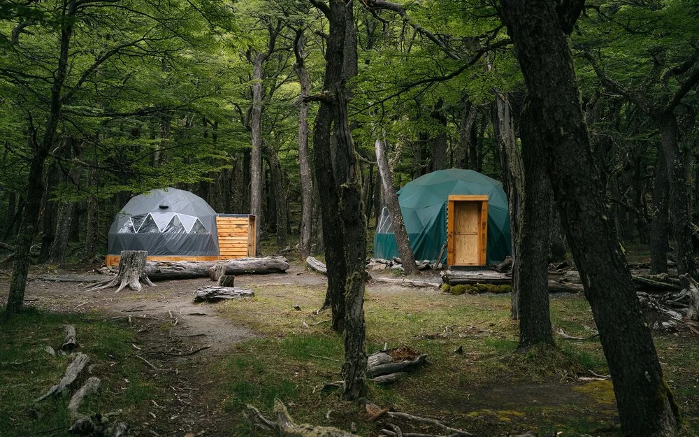 Geodesic dome tent nestled in a serene forest