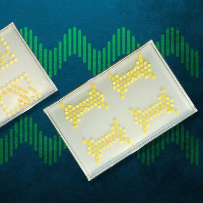 MIT Researchers Create Bacterial Circuits for Enhanced Plant Defense Mechanisms