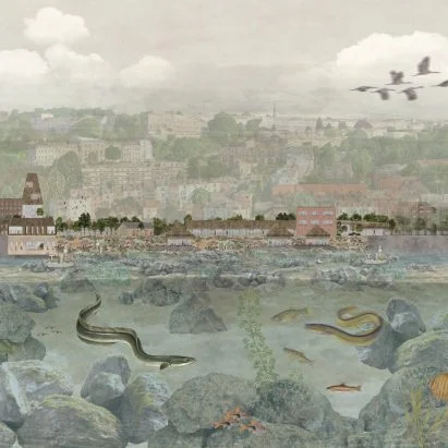 Revitalizing Eel Habitats: New Architecture Projects from the University of Nottingham